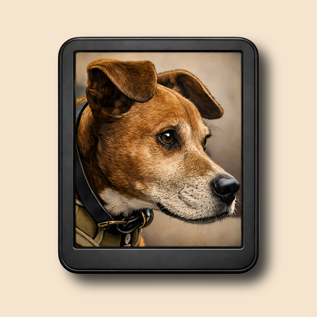 Cover Creator for E-Reader app icon